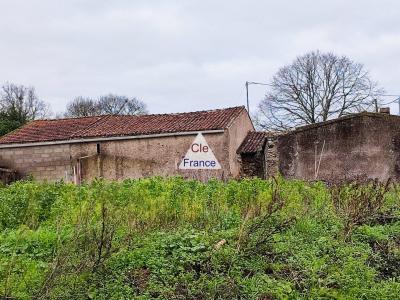 Superb Vineyard Property To Renovate