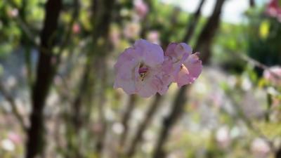 Demeure De Caractere