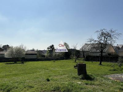 Fully Renovated House with Large Garden