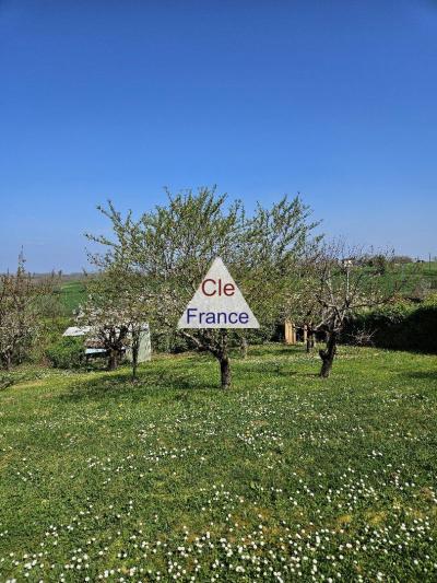Detached House with Lovely Garden