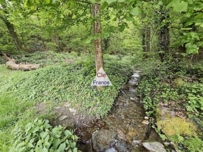 Woodland For Sale with Stream and Waterfall