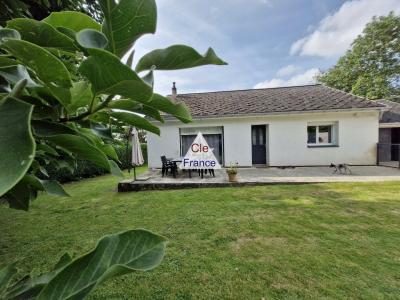 Detached House with Garden