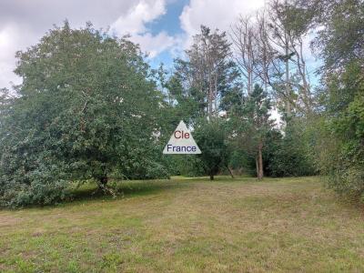 Detached Country House with Outbuilding