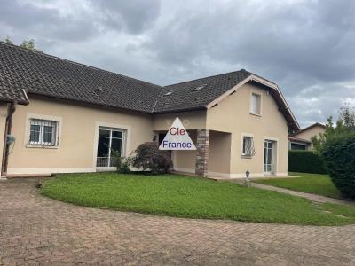 Huge Detached House with Lovely Garden