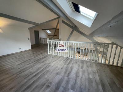 Huge Detached House with Lovely Garden
