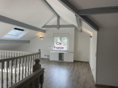 Huge Detached House with Lovely Garden