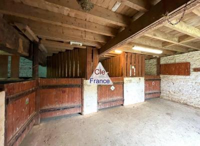 Huge Country House with Equestrian Facilities and Outbuildings