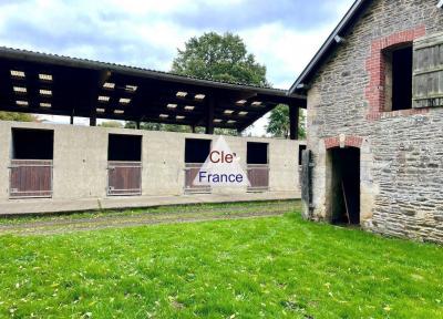 Huge Country House with Equestrian Facilities and Outbuildings