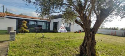 Contemporary Detached House