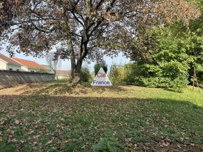 Detached House with Garden