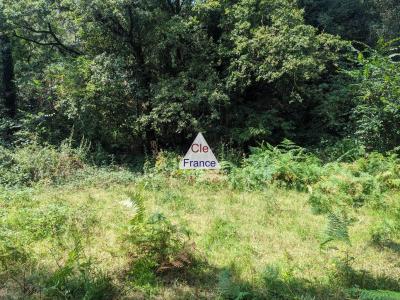 Riverside Plot of Land, Green Environment