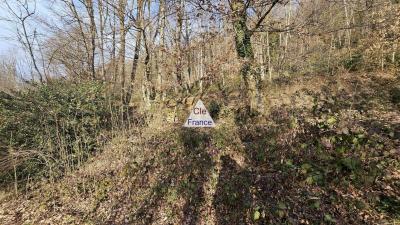 Exclusivite Cesarches (73200) : Terrain Forestier De 3.81 Hectares