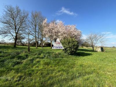Stunning Detached Country House with Open Views