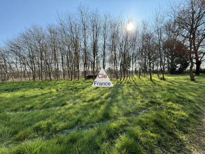 Stunning Detached Country House with Open Views