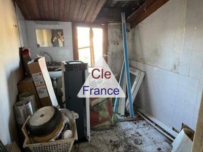 Cottage to Renovate with Garden