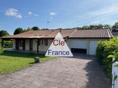 Detached House with Garden