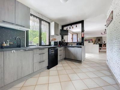 Detached House with Large Parkland Garden