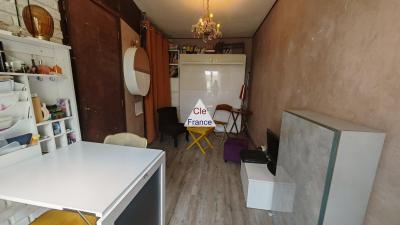 Studio 14,77 Ma