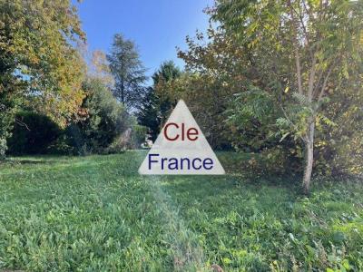 Fully Renovated Detached House with Garden