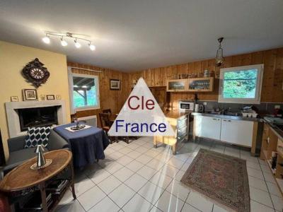 Two Houses with Swimming Pool