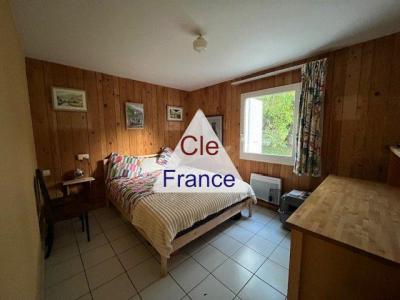 Two Houses with Swimming Pool