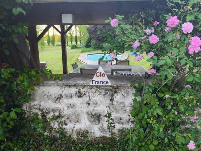 Two Houses with Swimming Pool