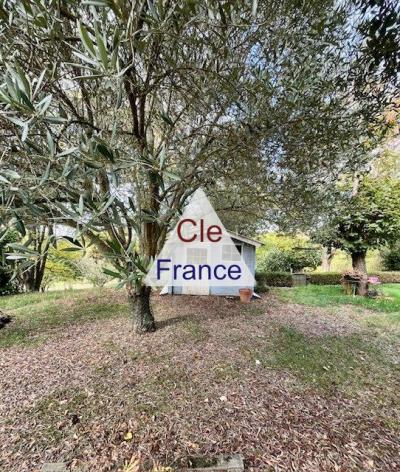 Large Farm House with Swimming Pool