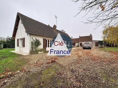 Collection of Building around the Main House