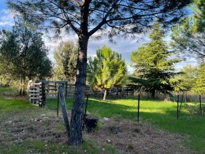 Terrain De Loisir 5456 Ma