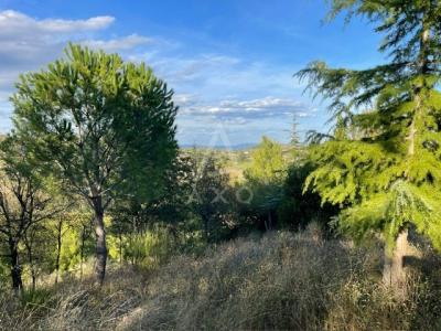 Terrain De Loisir 5456 Ma