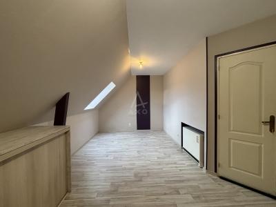 Contemporary Detached House with Landscaped Garden