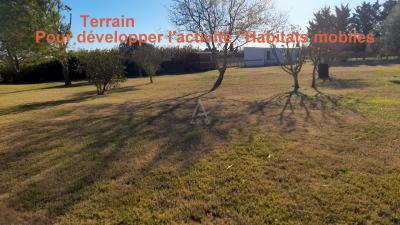 Exceptional Property with Equestrian Facilities