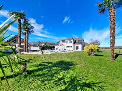 Contemporary Detached House with Swimming Pool