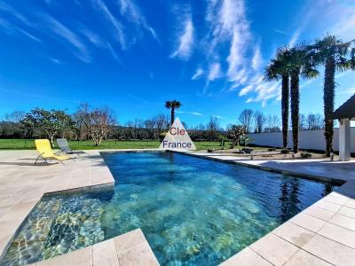 Contemporary Detached House with Swimming Pool
