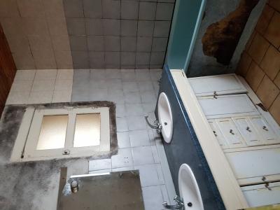 Detached House with Garden