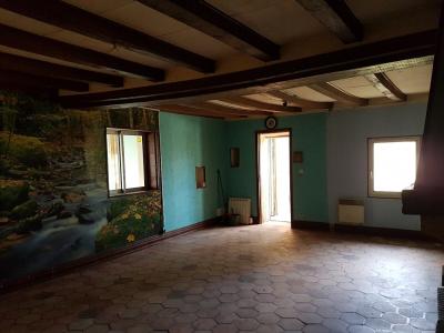 Detached House with Garden