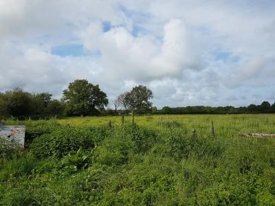 Detached House with Garden
