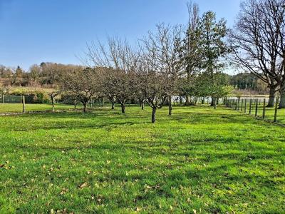 Detached House with Garden by the River Vernisson