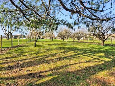 Detached House with Garden by the River Vernisson