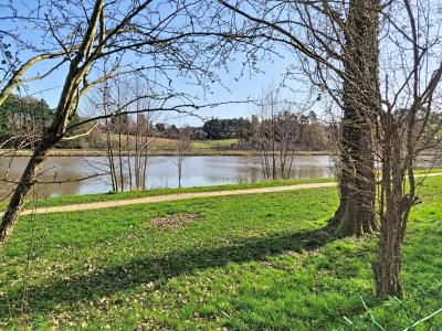 Detached House with Garden by the River Vernisson