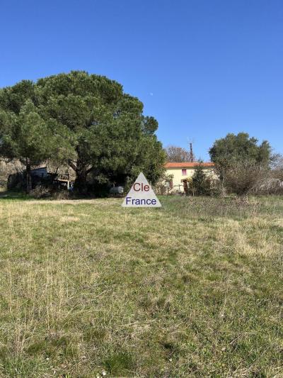 Charming Detached House and Garden