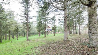 Detached House in Mature Woodland Plot of 2.8 Hectares