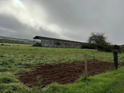 Lovely Farmhouse Packed With Charm