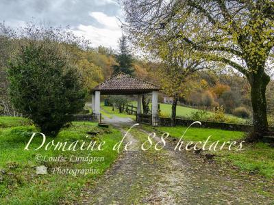 Manor House with Stream and Lake in 88 Hectares