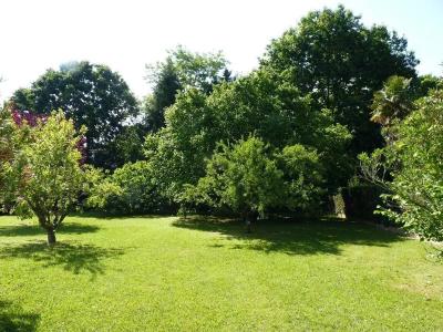 Beautiful House With Guest House And Garden