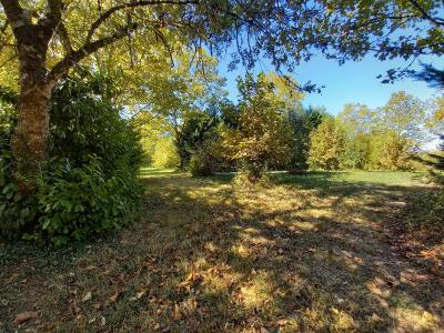 Property For Sale