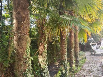 Former Water Mill, Parkland Gardens, Swimming Pool