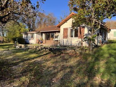 Two Houses in One Hectare of Countryside