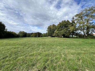 House And Barn To Renovate in Large Garden