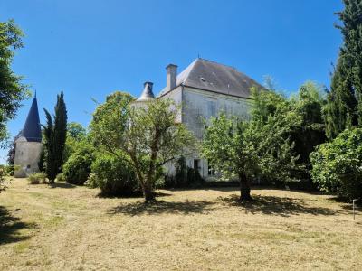 Chateau Plus a House, Outbuildings in 6 Hectares